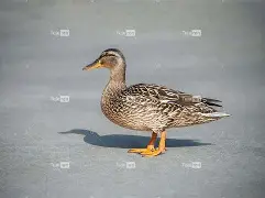 0€淵-九游娱乐
